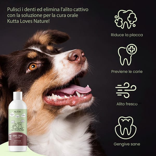 Spray Igiene orale per cani e gatti. 350 ml. - immagine 5