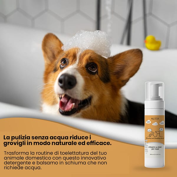 Shampoo a secco lucidante e idratante per cani e gatti. 200 ml. - immagine 3