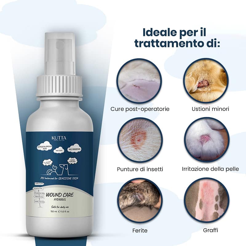 Domande Frequenti 5 2 5